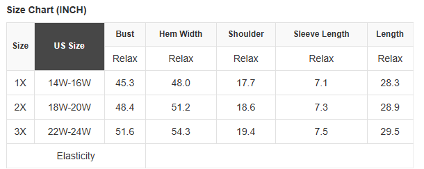 White Sequin USA Flag Inspire Star Graphic Plus Size T Shirt