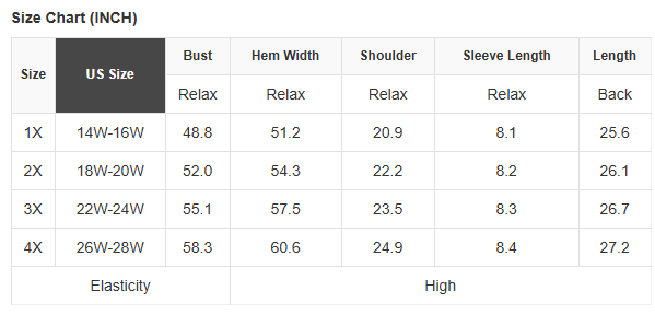 Sky Blue USA Graphic Crewneck Plus Size Patriotic Tee