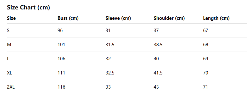 Women’s V Neck Puff Sleeve Textured Casual Blouse Top