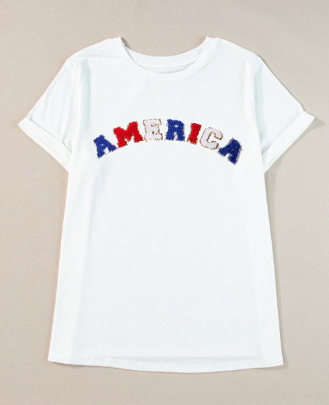White AMERICA Chenille Embroidered Plus Size T Shirt