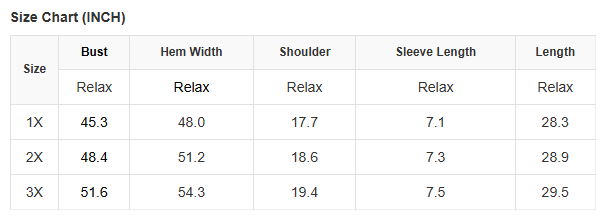 White AMERICA Chenille Embroidered Plus Size T Shirt