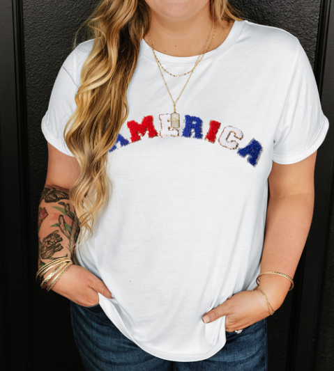White AMERICA Chenille Embroidered Plus Size T Shirt