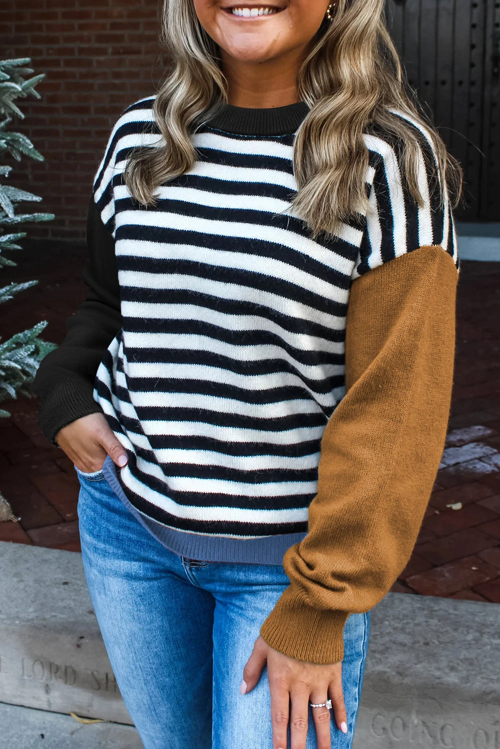 Striped Panels Colorblock Sleeve Chic Sweater