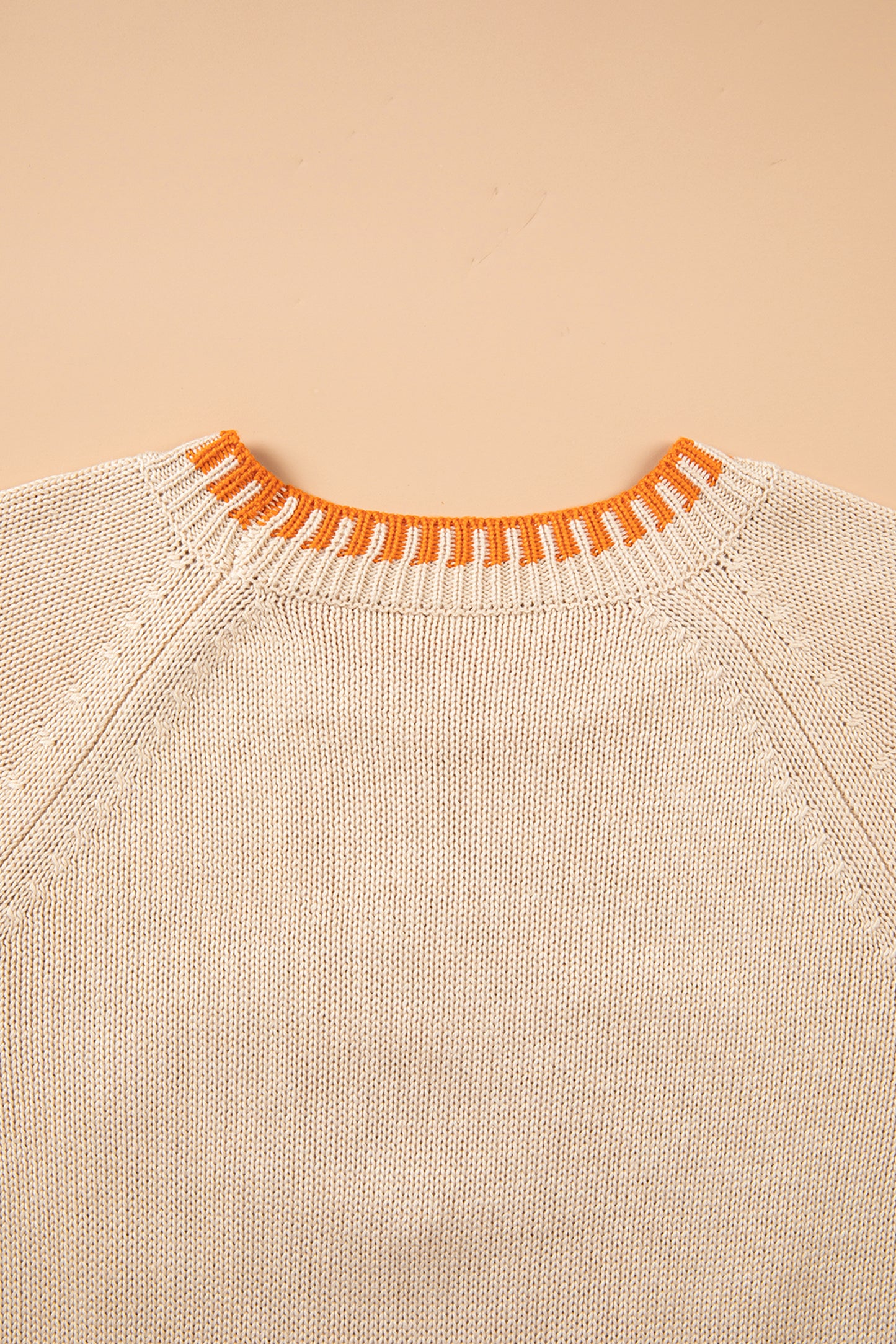 Parchment Floral Embroidery Pumpkin Long Sleeve Round Neck Sweater