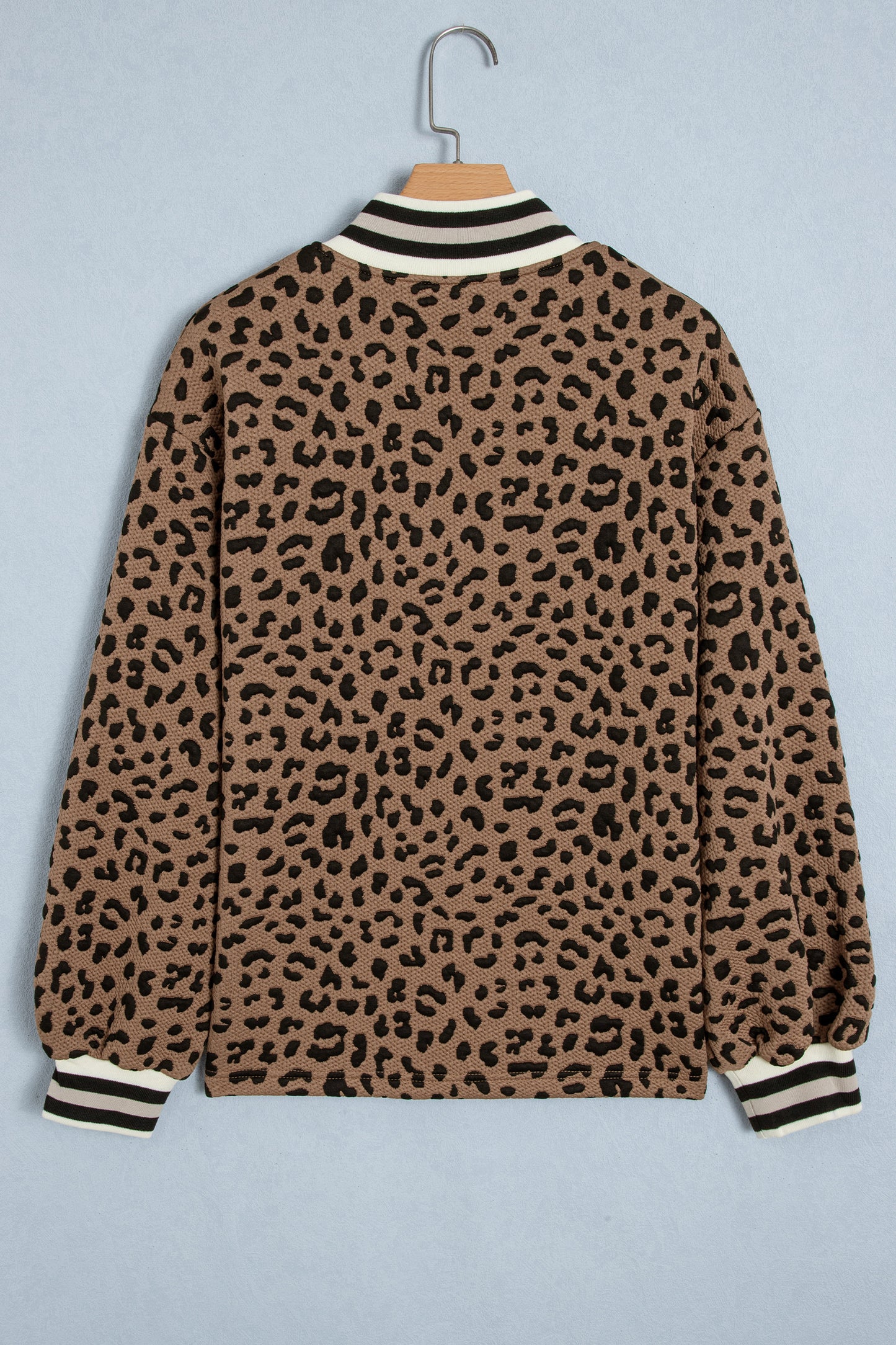 Brown Leopard Print Striped Trim Collar Long Sleeve Shift Pullover