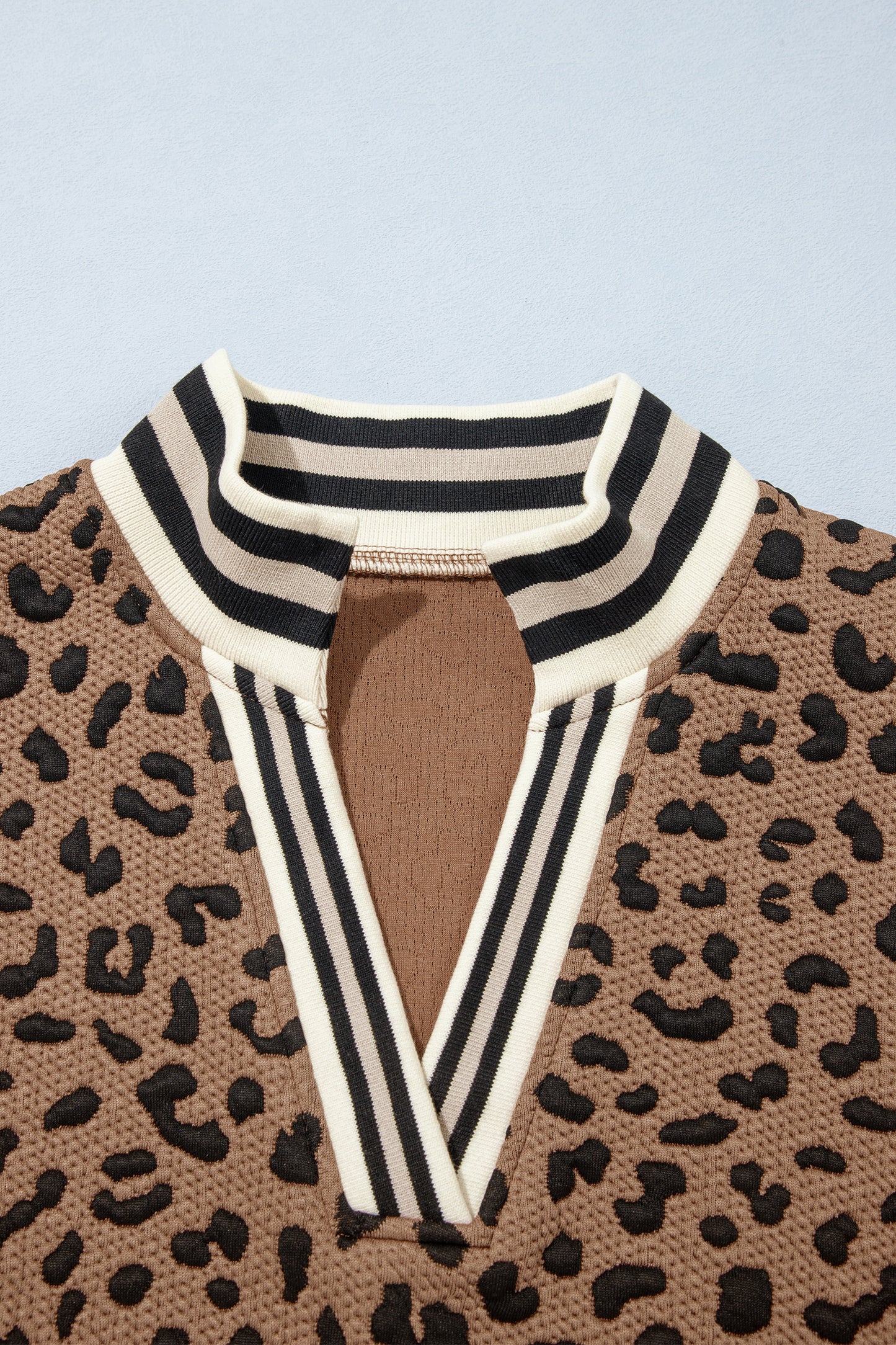 Brown Leopard Print Striped Trim Collar Long Sleeve Shift Pullover