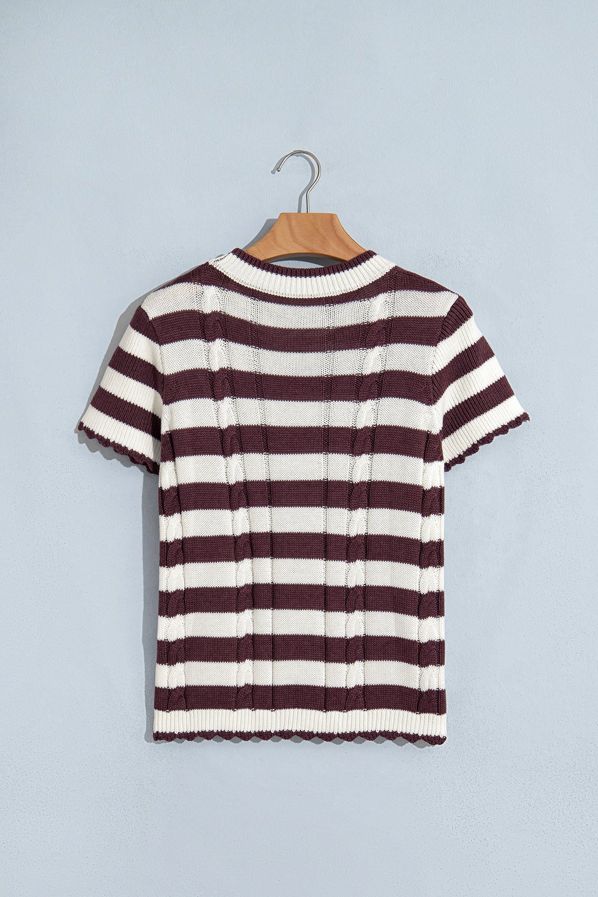 Brown Stripe Ribbed Knit Cable Detail Short Sleeve Sweater