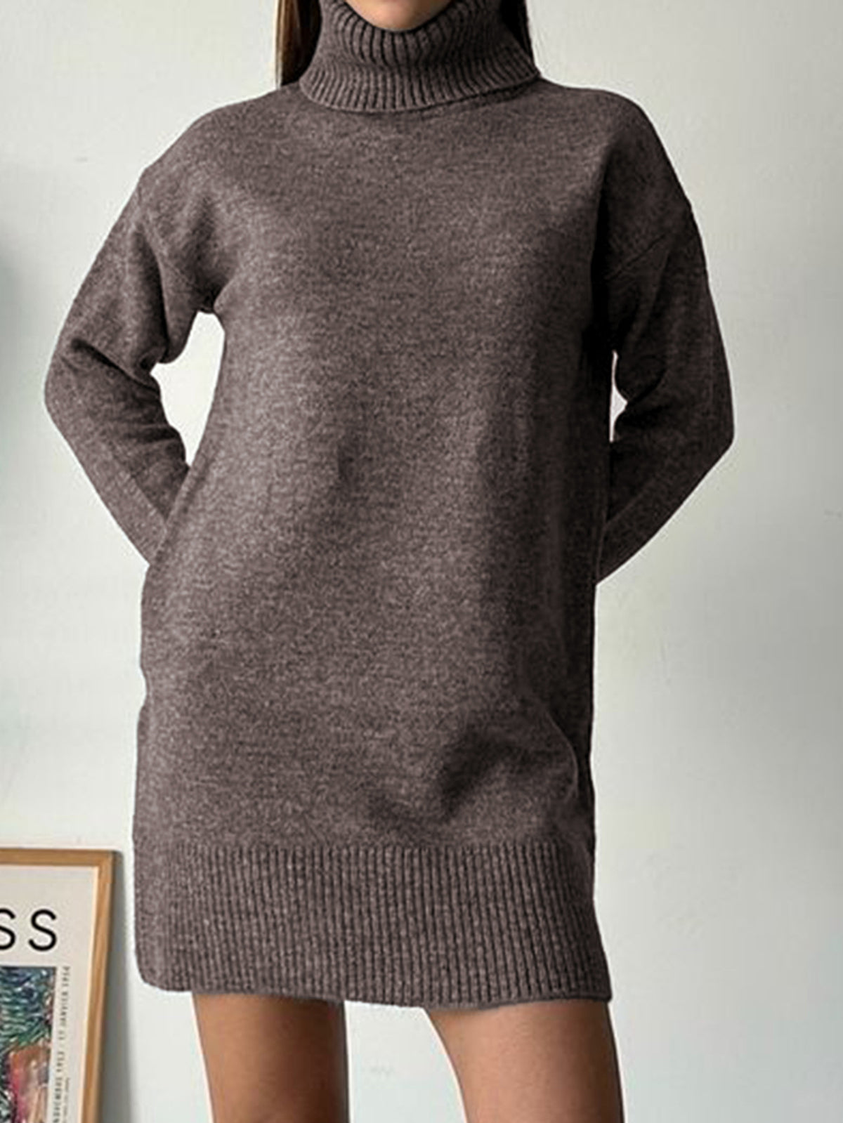 Casual Turtleneck Long Sleeve Mini Sweater Dress