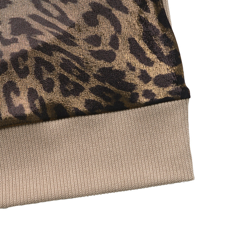 Leopard Print Color Block Long Sleeve Casual Top