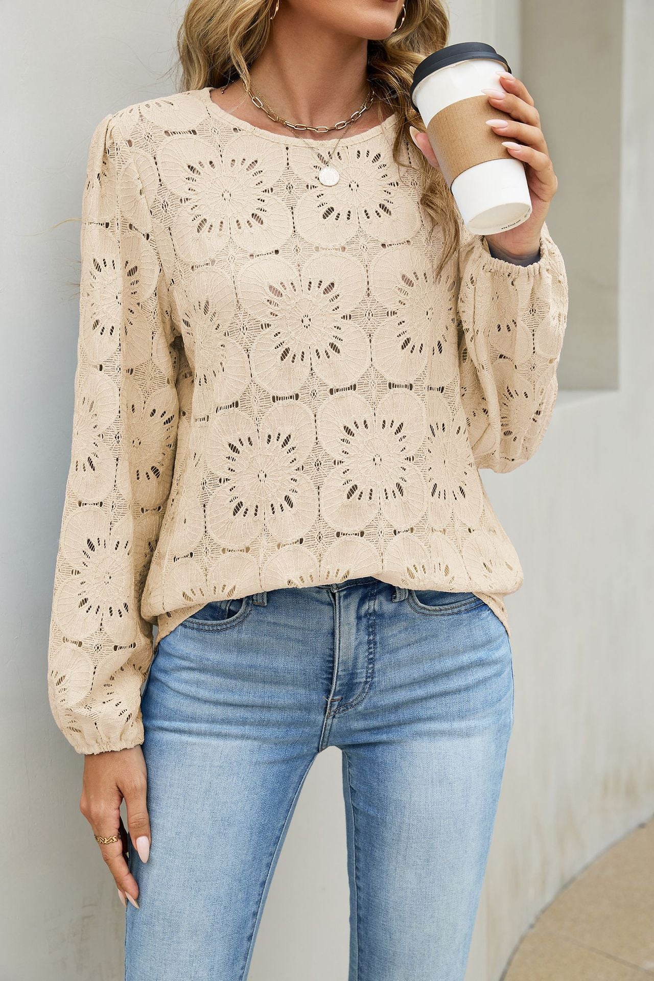 Eyelet Lace Top Crew Neck Long Sleeve Loose Casual Blouse