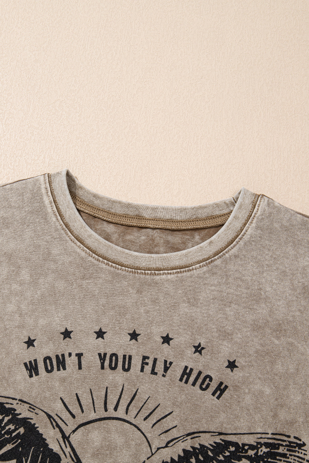 Parchment AMERICA FREE BIRD Vintage Graphic Mineral Washed Tee
