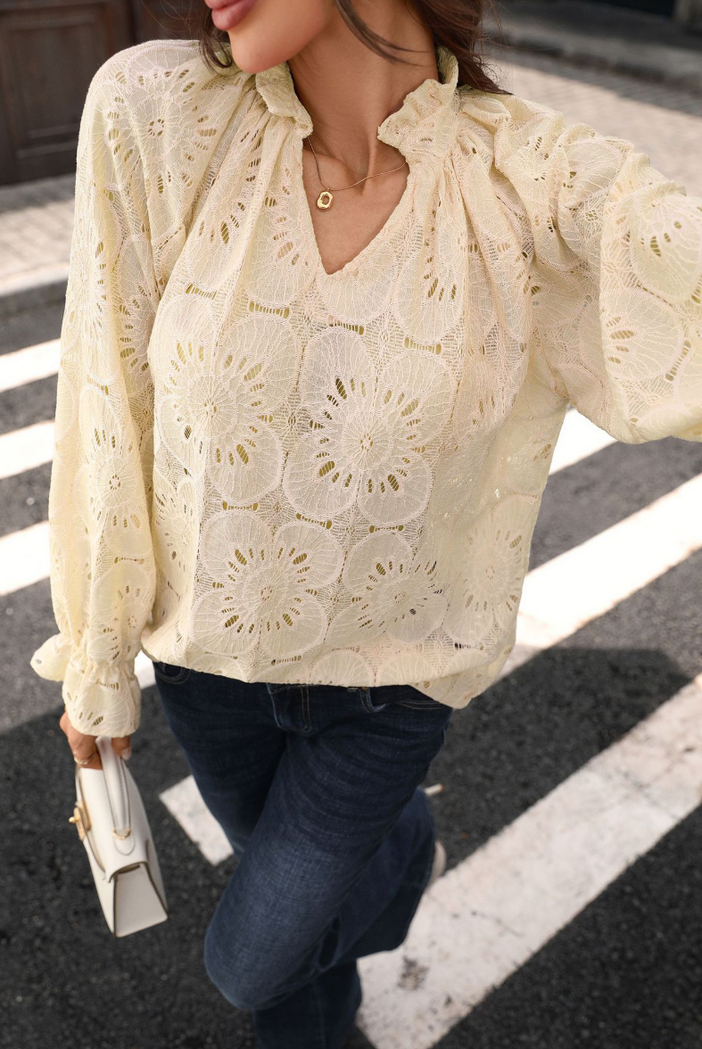 Eyelet Lace V Neck Top Long Sleeve Loose Casual Blouse