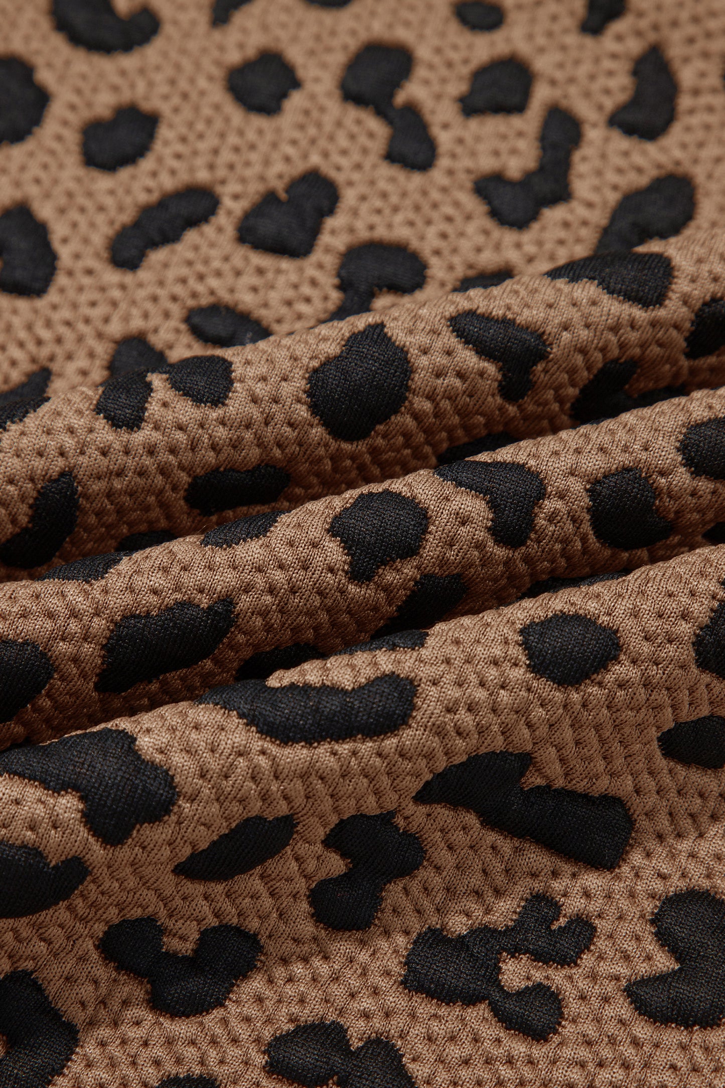 Brown Leopard Print Striped Trim Collar Long Sleeve Shift Pullover